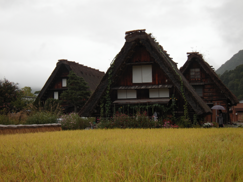 小雨な白川郷。