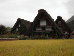 小雨な白川郷。