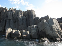 東尋坊の柱状節理。