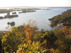 松島にて。その５