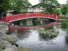 湧玉池と赤い橋
