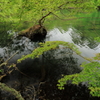 柳沼（五色沼）