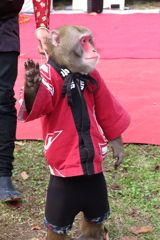 ちょっと待っててね