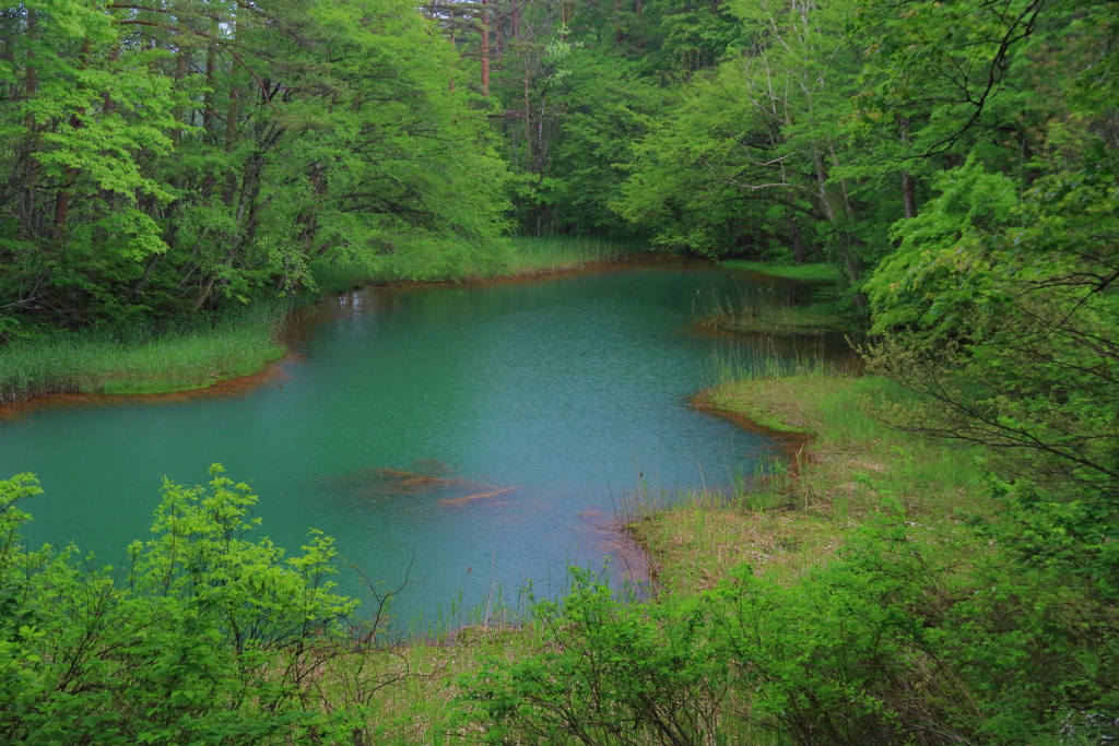 赤沼（五色沼）