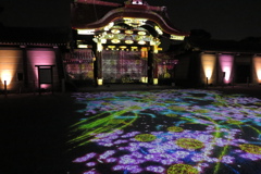 二条城の夜間拝観にて