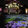 二条城の夜間拝観にて