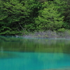 青沼（五色沼）