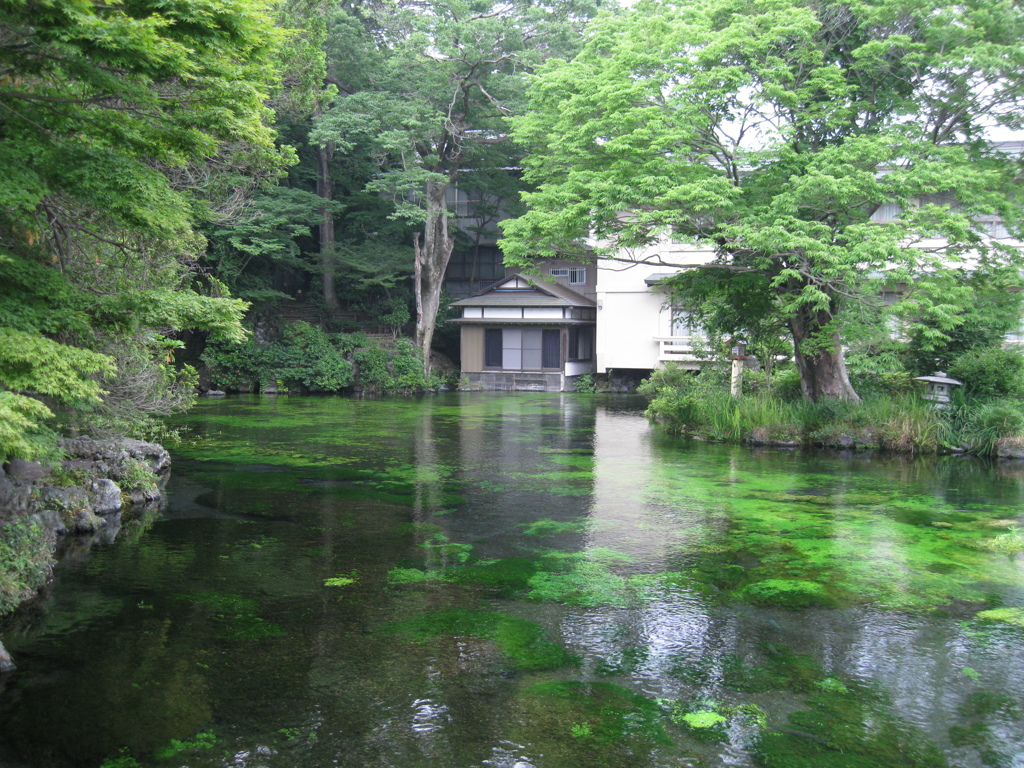 湧玉池