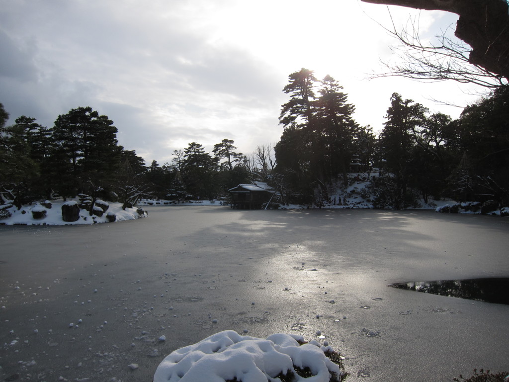 冬の兼六園。