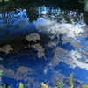 青空を映す銚子池
