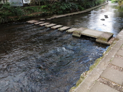 水辺の散歩道**