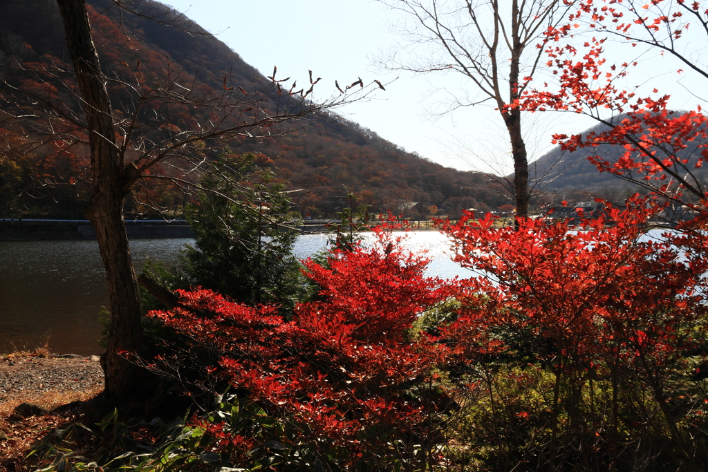 赤城神社にて