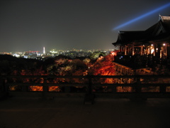 清水の舞台を望む