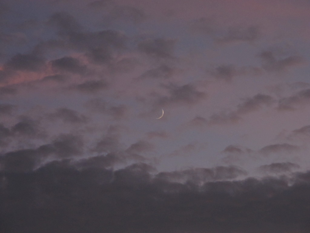 日没しかけの三日月。