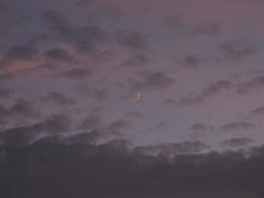 日没しかけの三日月。