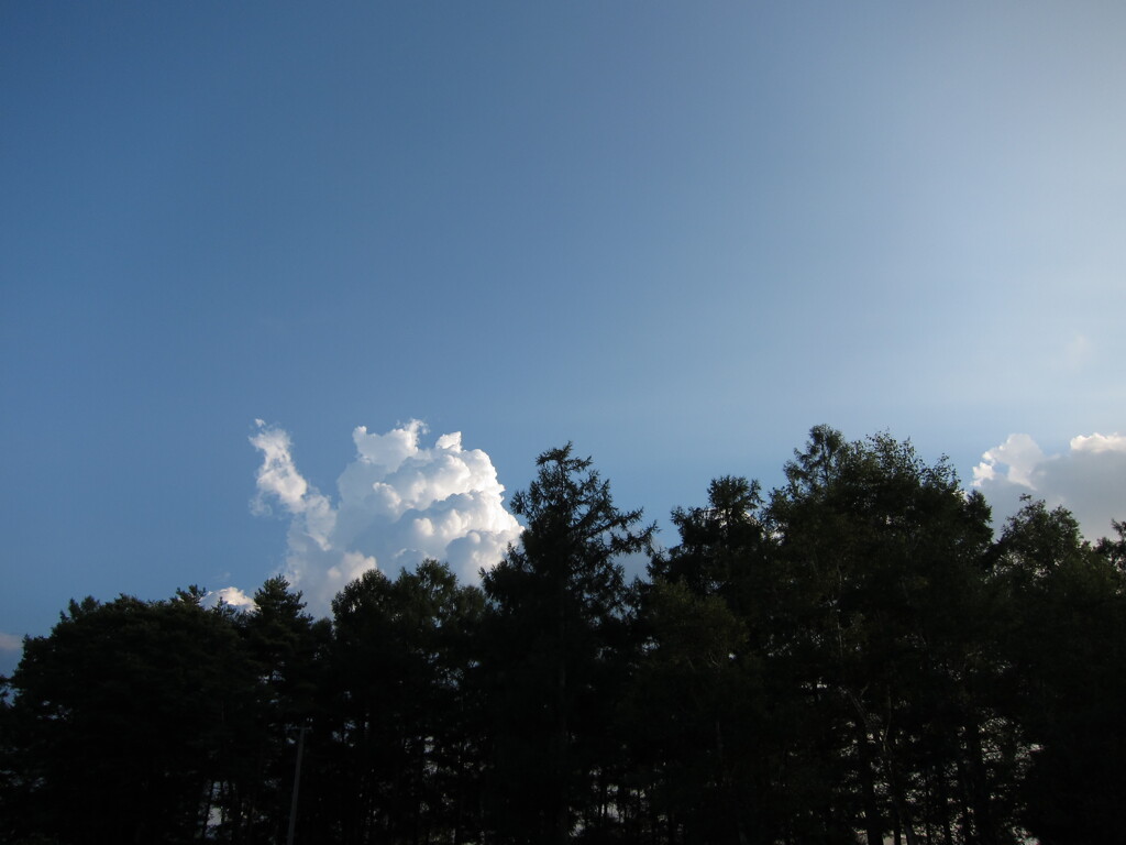 空・雲・木