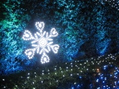 雪の結晶のイルミ。