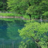 るり沼（五色沼）