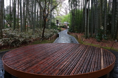 竹林の中心