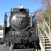 D51946