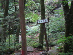 黄金の砦