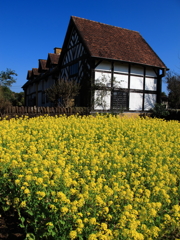 ローズマリー公園にて。