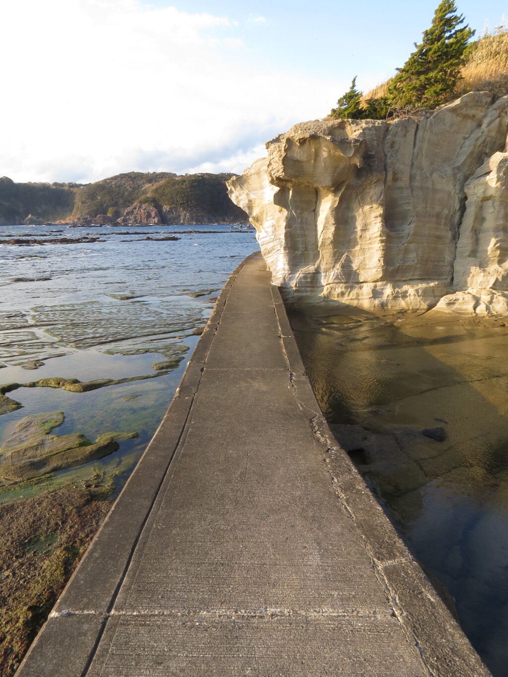 恵比須島の遊歩道
