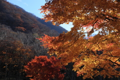 赤城山の紅葉