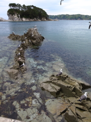 浄土ヶ浜の遊歩道にて。