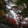 高山城跡の紅葉