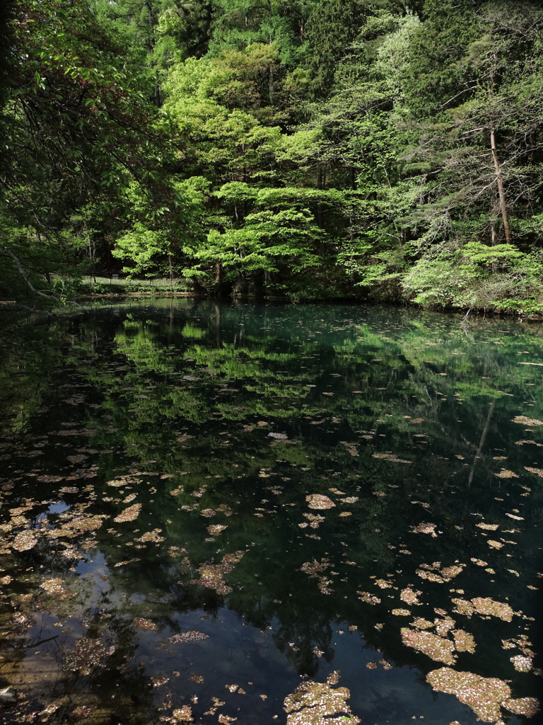 平出の泉 By まっちー Id 写真共有サイト Photohito