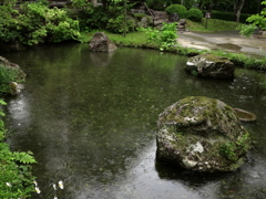 平家の里・雨を受ける池