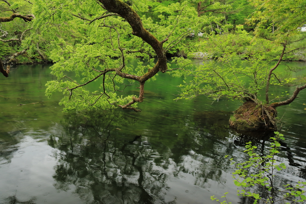 柳沼（五色沼）