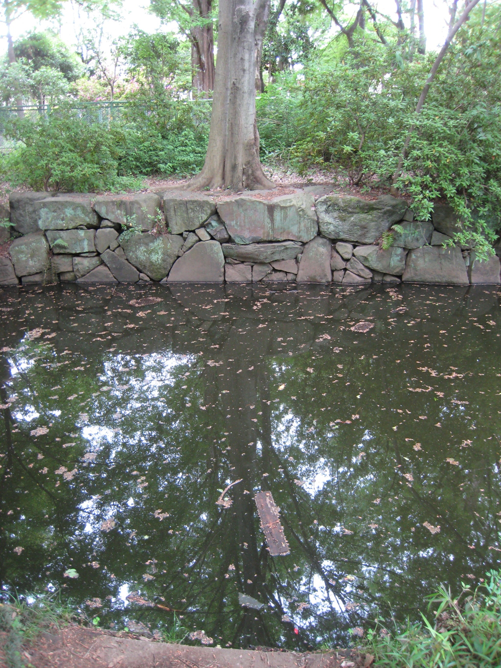 池