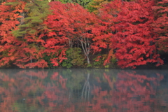 紅葉と湖