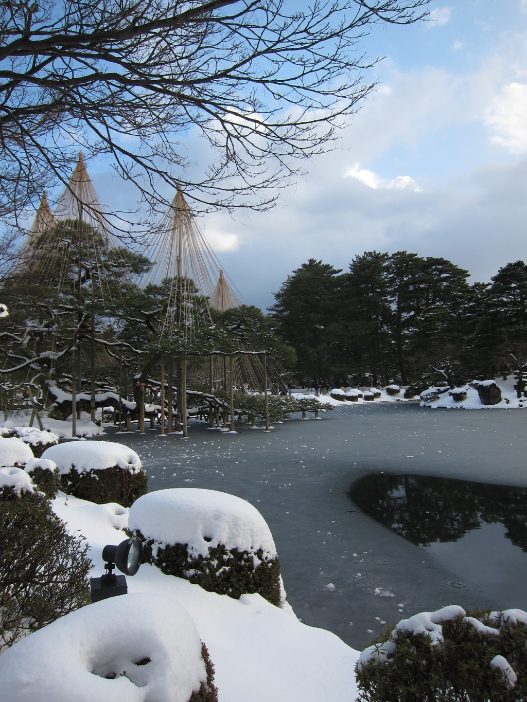 冬の兼六園にて。