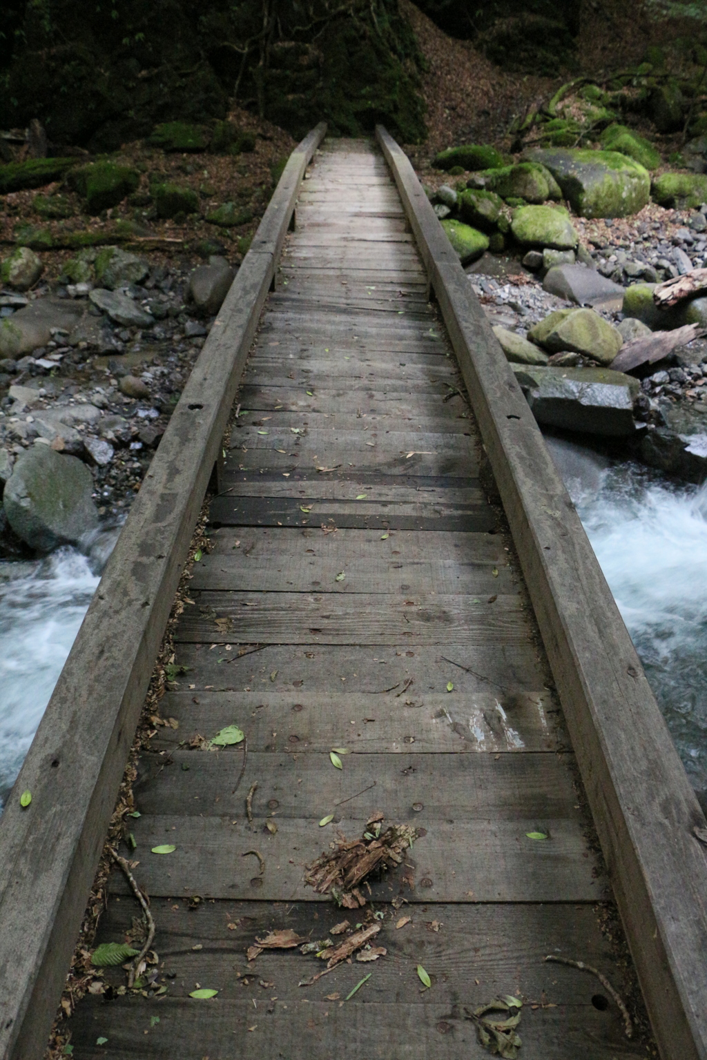 木の橋