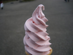 さくらのソフトクリーム。