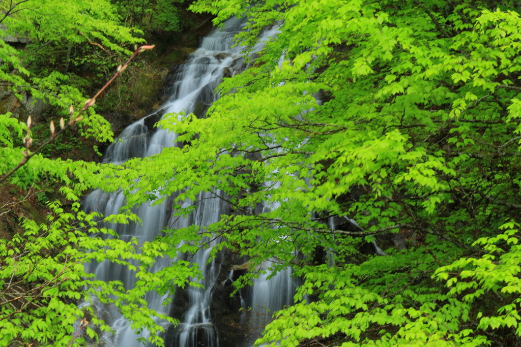 道端の滝