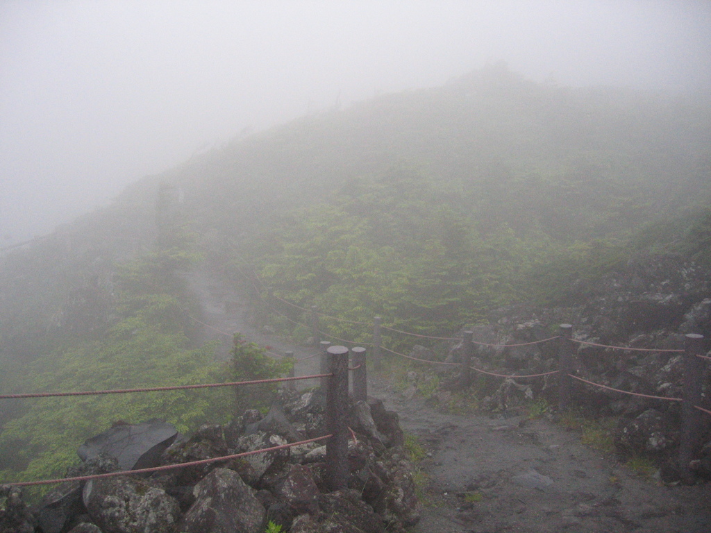 霧の坪庭。
