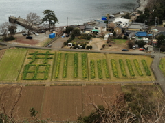 井田のアート畑。