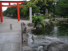 湧玉池と赤い鳥居