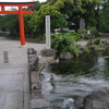 湧玉池と赤い鳥居