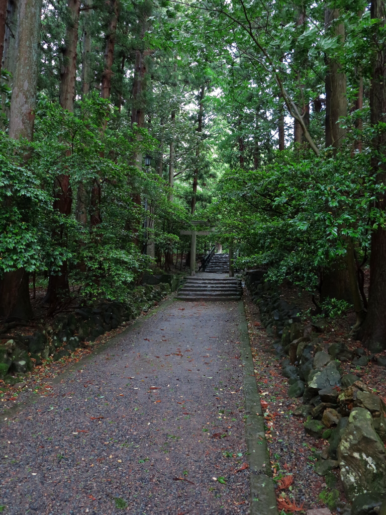 彌彦神社****