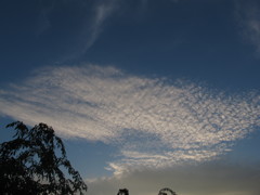 思わず撮った雲。