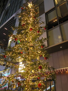 見上げた渋谷ストリームのツリー