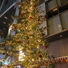 見上げた渋谷ストリームのツリー