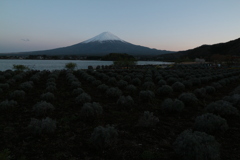 大石公園からの富士山