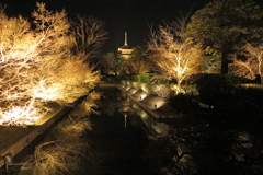 桜開花前の東寺