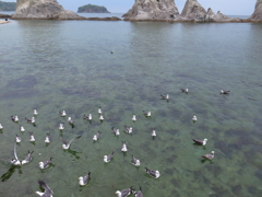 浄土ヶ浜の海の眺め